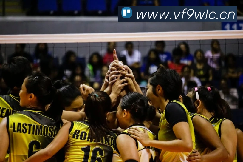 星空平台登录入口发展历程